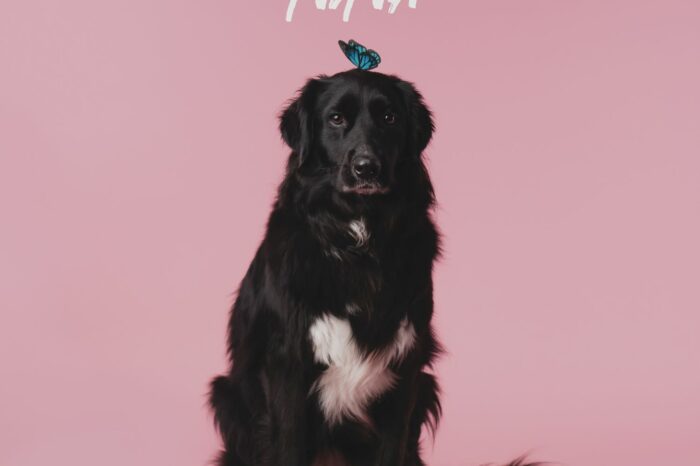 Nina è il nuovo singolo di Avanzi, ma anche il suo cane