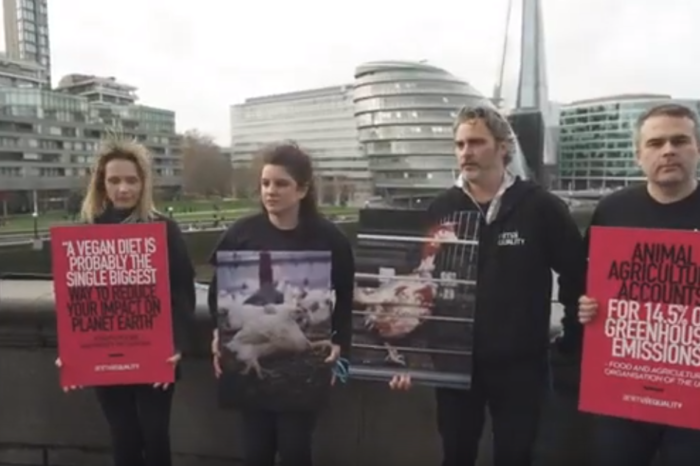 Joaquin Phoenix a Londra per protestare contro lo sfruttamento animale. Guarda il video