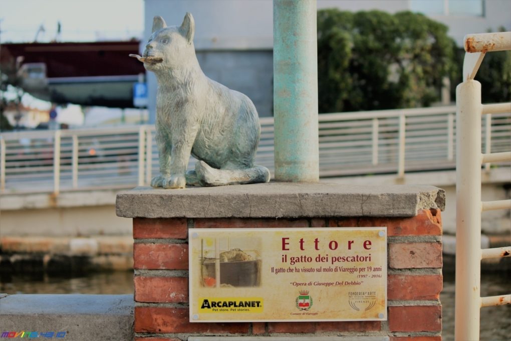 Una statua sul molo di Viareggio dedicata ad Ettore, il gatto amico dei pescatori: la storia