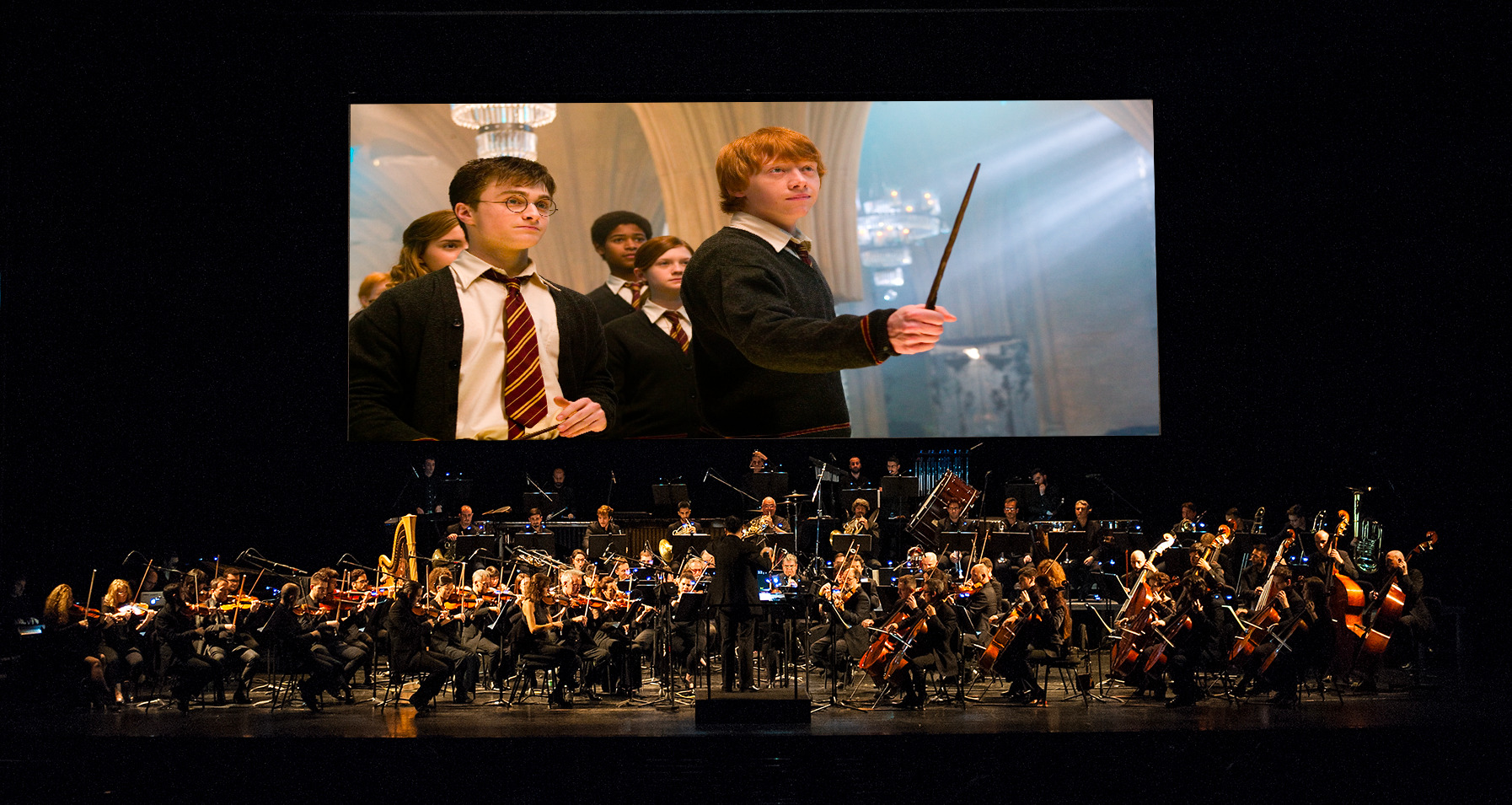 Harry Potter e l'Ordine della Fenice: a Roma e Milano i concerti